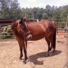 Teddy 09-04-2010