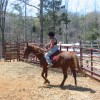 Merlin 4-17-06