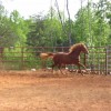 joe dee 5-1-06