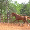 joe dee 5-1-06 014