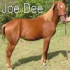 joedee