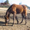 boxer20110211_8