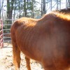 sparky222812