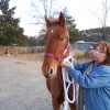 libby20121202_33