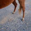 libby20121202_37