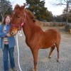 libby20121202_40