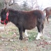 nellie20121203_2