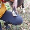 nellie20121203_6