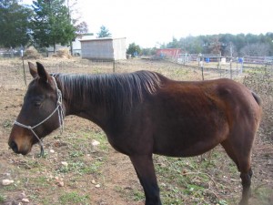Daisy 11/26/10
